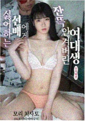 国产剧集旧城手记封面图